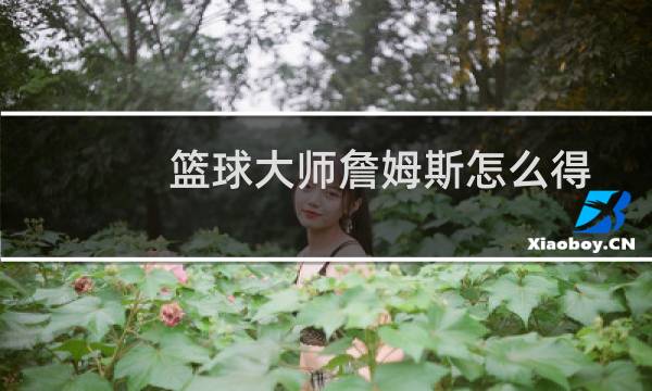 篮球大师詹姆斯怎么得图片