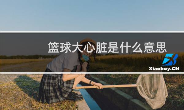 篮球大心脏是什么意思图片