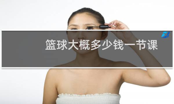 篮球大概多少钱一节课图片