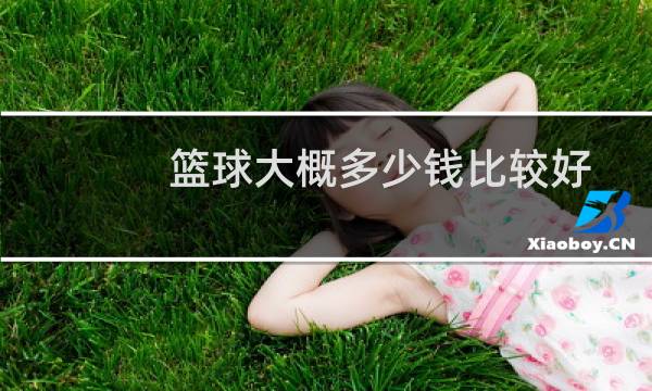 篮球大概多少钱比较好图片