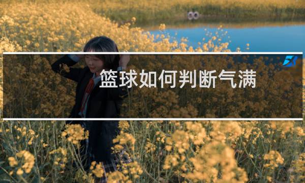篮球如何判断气满图片