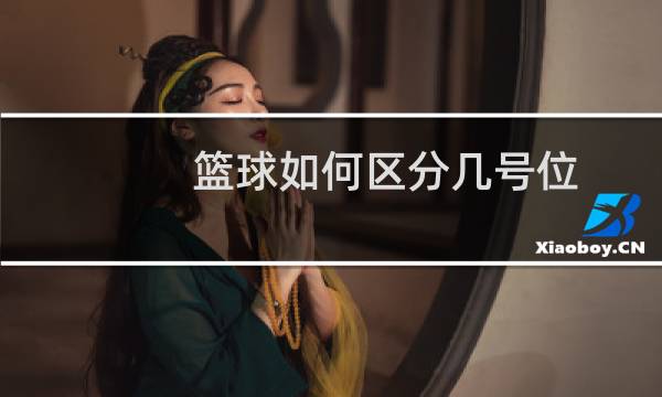 篮球如何区分几号位图片