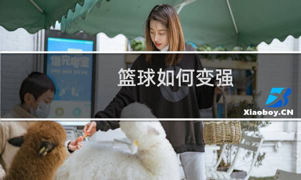 篮球如何变强图片