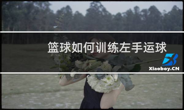 篮球如何训练左手运球图片