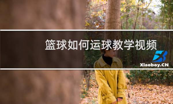 篮球如何运球教学视频图片
