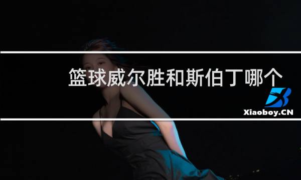 篮球威尔胜和斯伯丁哪个好图片