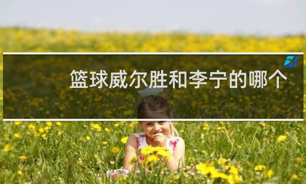 篮球威尔胜和李宁的哪个好一点图片