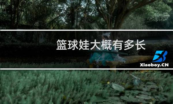 篮球娃大概有多长图片