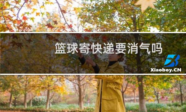 篮球寄快递要消气吗图片
