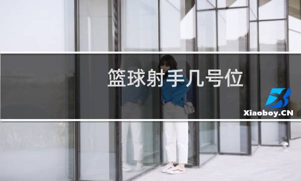 篮球射手几号位图片