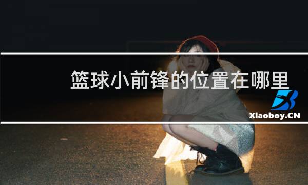 篮球小前锋的位置在哪里图片