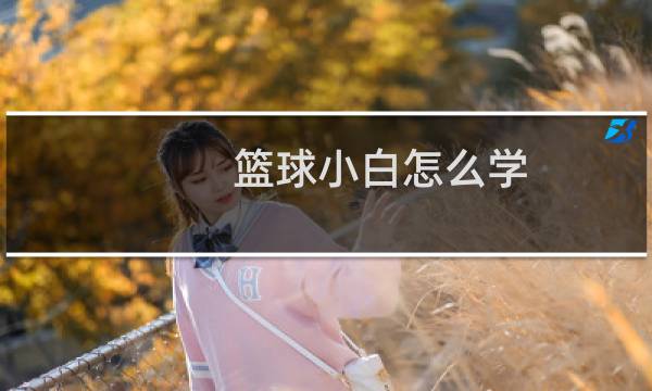 篮球小白怎么学图片