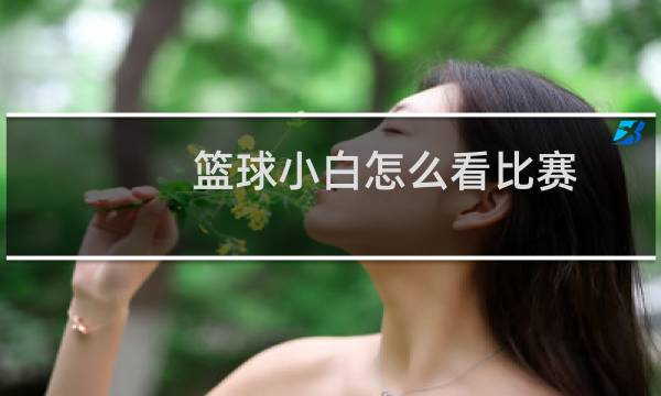 篮球小白怎么看比赛图片