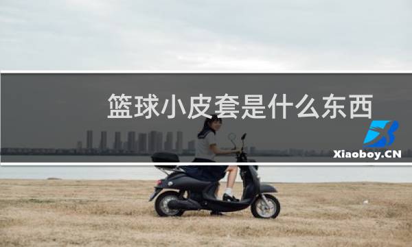 篮球小皮套是什么东西图片