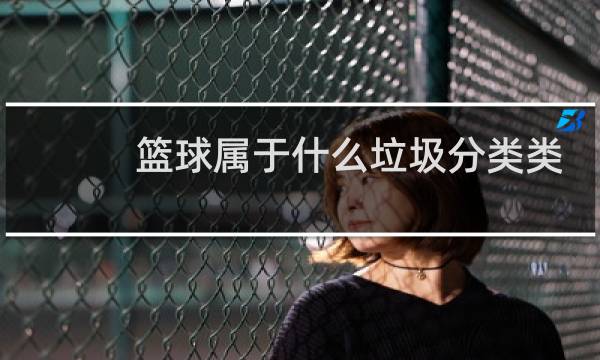 篮球属于什么垃圾分类类别图片