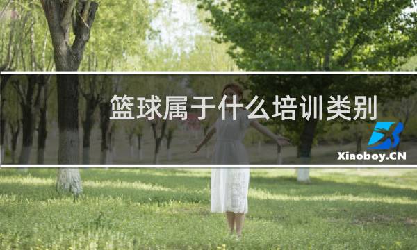 篮球属于什么培训类别图片