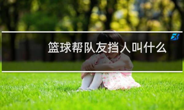 篮球帮队友挡人叫什么图片