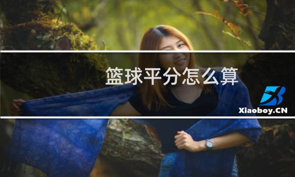 篮球平分怎么算图片