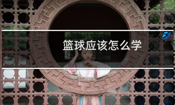 篮球应该怎么学图片
