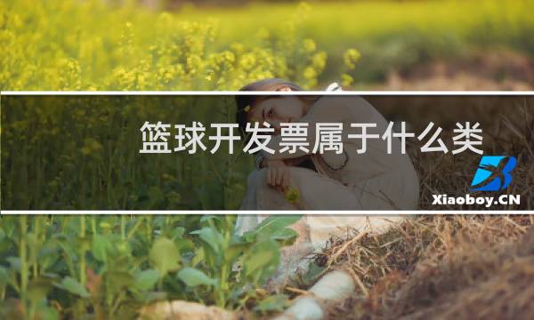 篮球开发票属于什么类图片