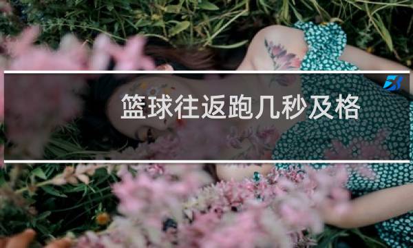 篮球往返跑几秒及格图片