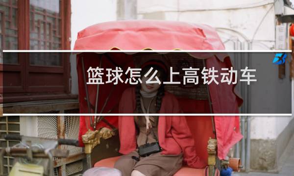 篮球怎么上高铁动车图片