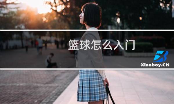 篮球怎么入门图片