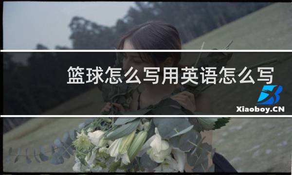 篮球怎么写用英语怎么写图片