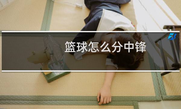 篮球怎么分中锋图片