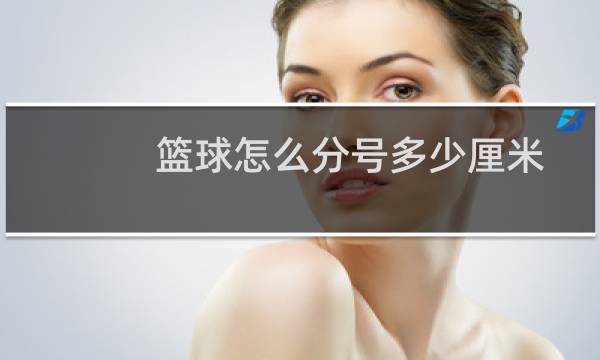 篮球怎么分号多少厘米图片
