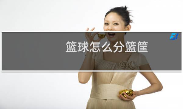 篮球怎么分篮筐图片