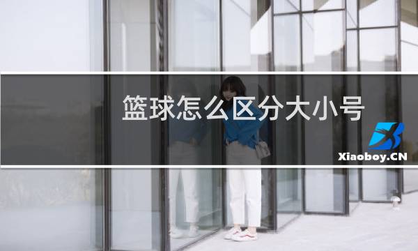 篮球怎么区分大小号图片