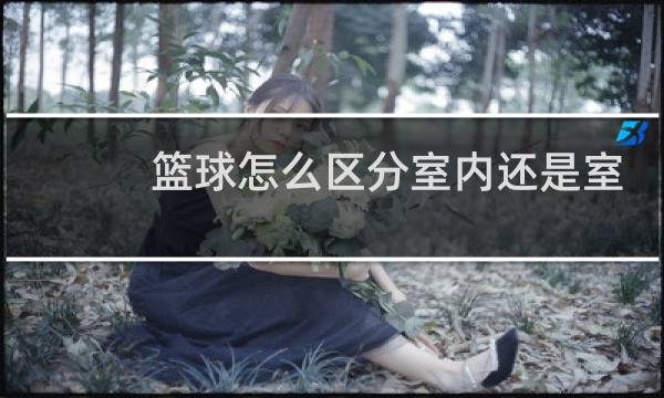 篮球怎么区分室内还是室外球图片
