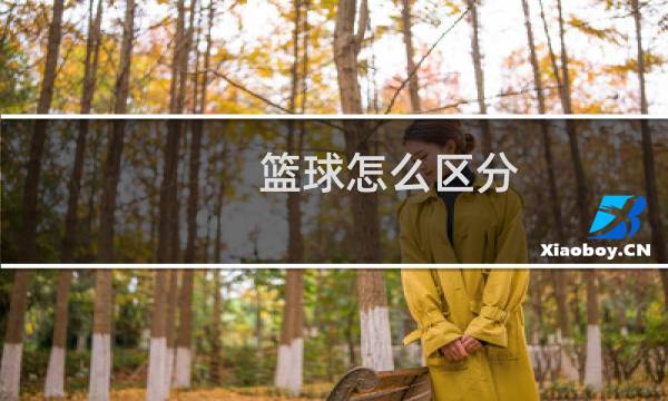 篮球怎么区分图片