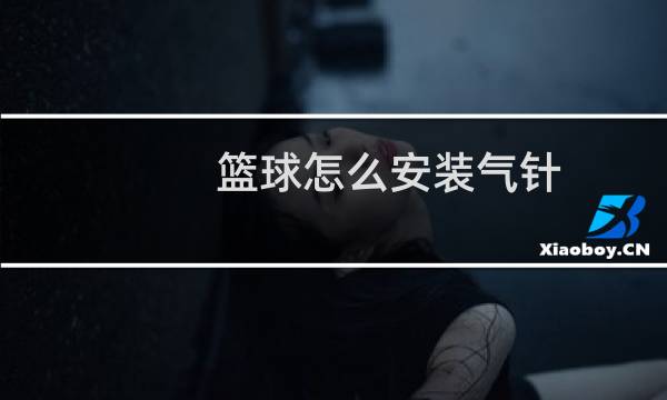 篮球怎么安装气针图片