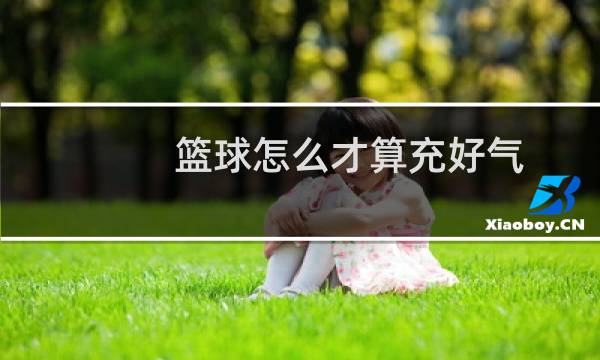 篮球怎么才算充好气图片