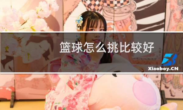 篮球怎么挑比较好图片