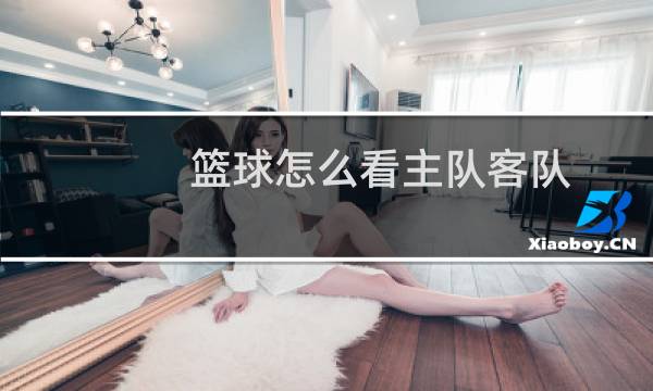 篮球怎么看主队客队图片
