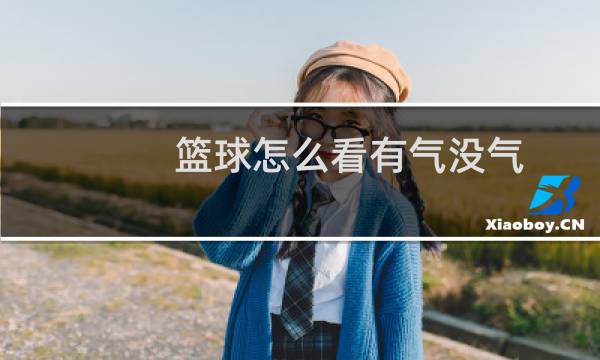 篮球怎么看有气没气图片