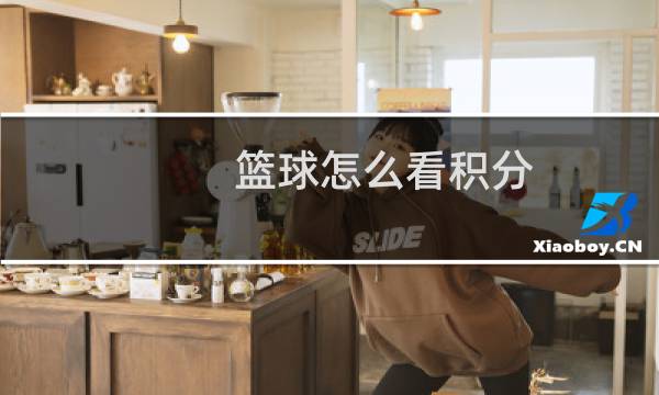 篮球怎么看积分图片