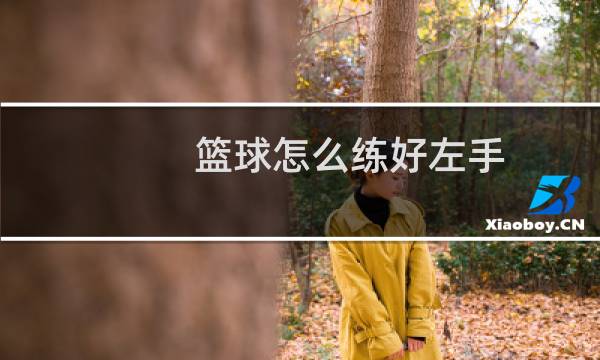 篮球怎么练好左手图片