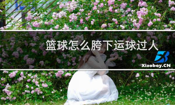 篮球怎么胯下运球过人图片