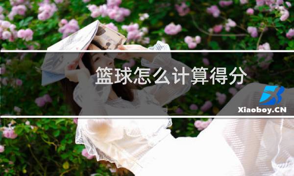 篮球怎么计算得分图片