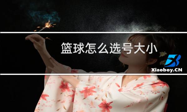 篮球怎么选号大小图片