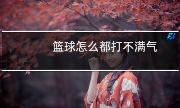 篮球怎么都打不满气图片