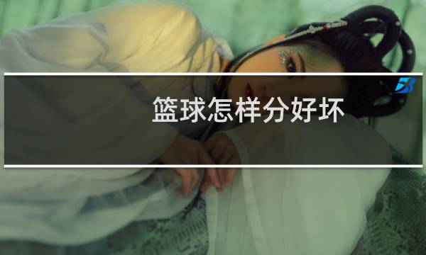 篮球怎样分好坏图片