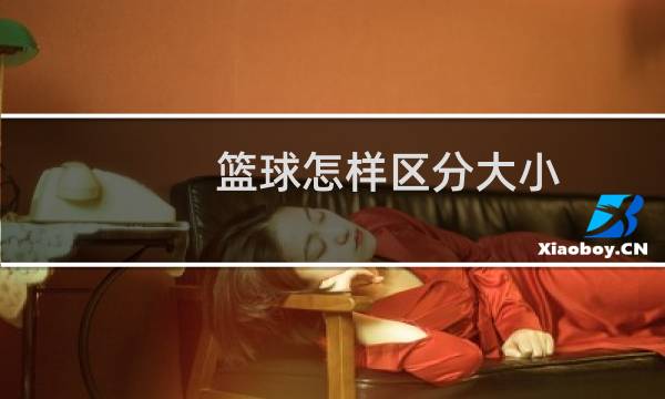 篮球怎样区分大小图片