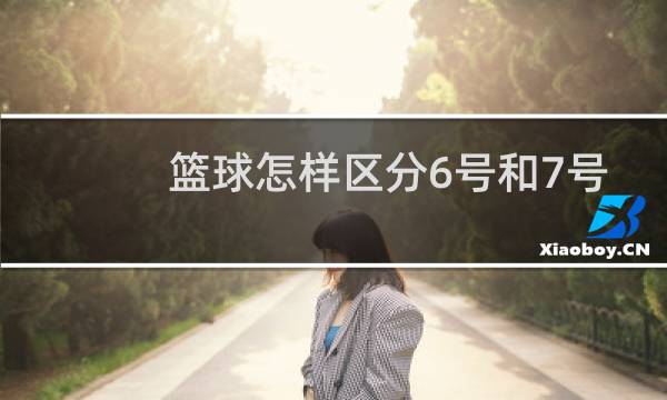 篮球怎样区分6号和7号图片