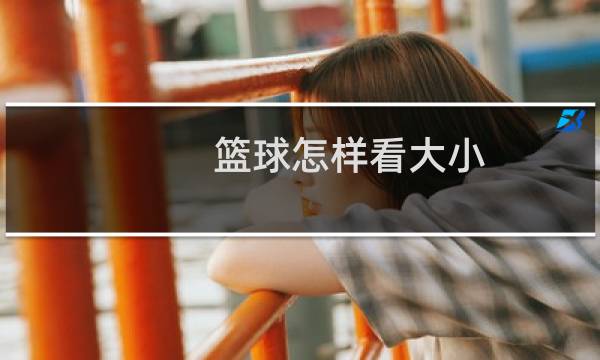 篮球怎样看大小图片