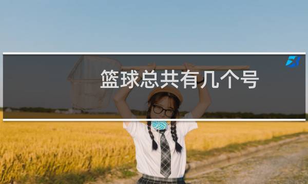 篮球总共有几个号图片